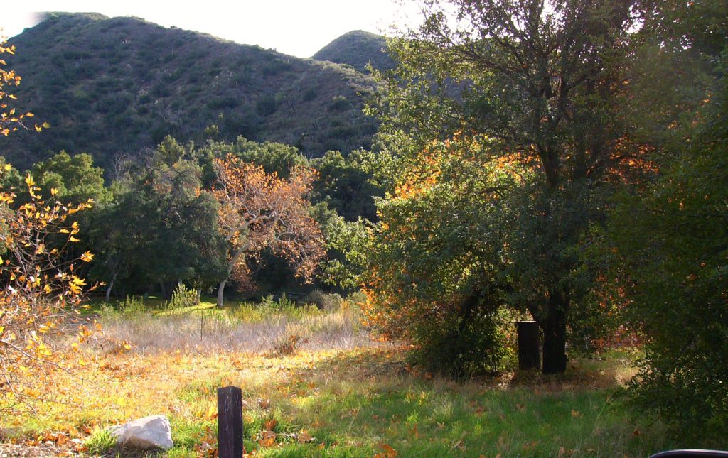 peinture digitale de paysage